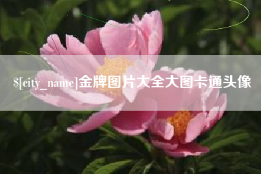 海口金牌图片大全大图卡通头像