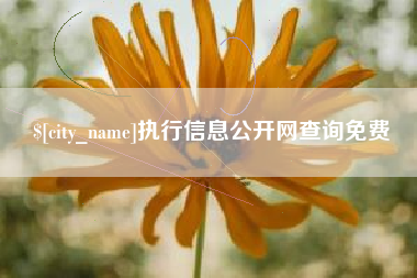 海口执行信息公开网查询免费